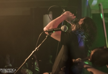 Hedera - Photo By Dänu