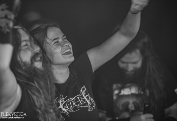 Hedera - Photo By Dänu