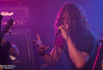 Hedera - Photo By Dänu