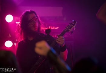 Hedera - Photo By Dänu