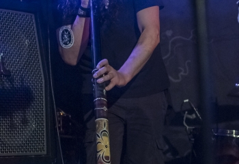 Hedera - Photo By Dänu