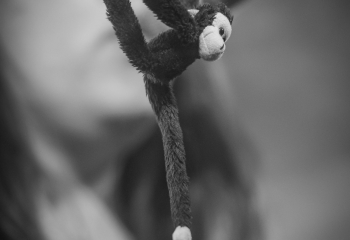 Hubert And The Flying Bananas - Photo By Dänu