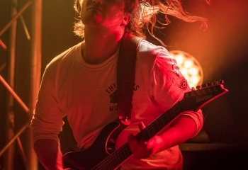 Nice To Eat You - Photo By Dänu