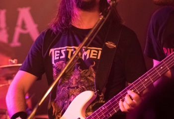 Padoria - Photo By Dänu