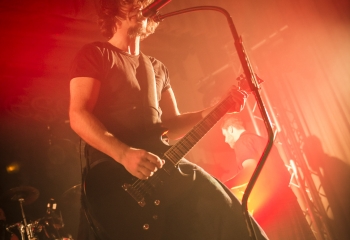 Pertness - Photo By Dänu