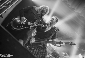 Pertness - Photo By Dänu