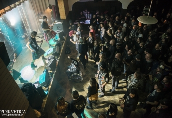 Pertness - Photo By Dänu