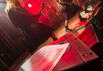 Pertness - Photo By Dänu