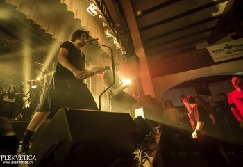 Pertness - Photo By Dänu