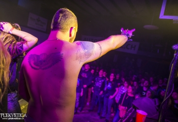 Pertness - Photo By Dänu