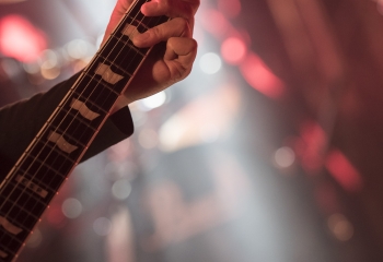 Pertness - Photo By Dänu