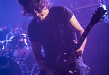 Pertness - Photo By Dänu