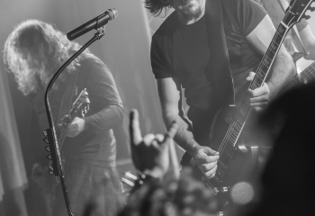 Pertness - Photo By Dänu