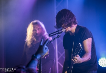 Pertness - Photo By Dänu