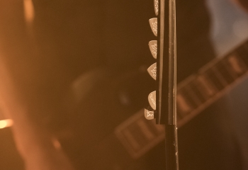 Pertness - Photo By Dänu