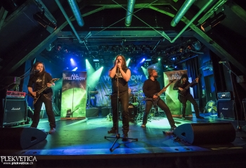 ALL WILL KNOW - Photo By Dänu