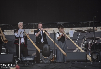 Alphornbläser - Photo By Dänu