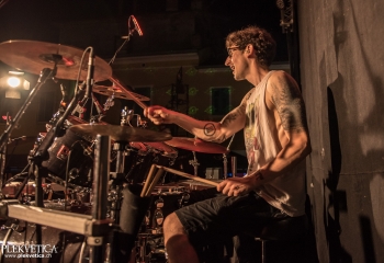 Animal Drive - Photo by Marc