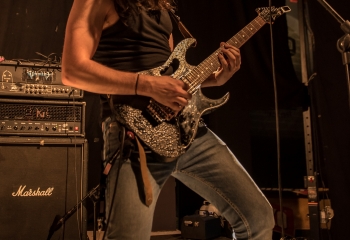 Animal Drive - Photo by Marc