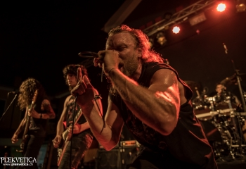 Animal Drive - Photo by Marc