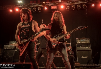 Animal Drive - Photo by Marc