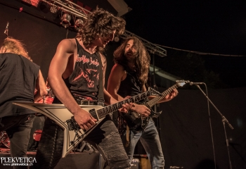 Animal Drive - Photo by Marc