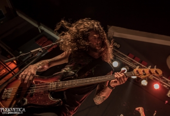 Animal Drive - Photo by Marc