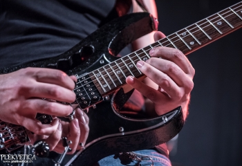 Animal Drive - Photo by Marc