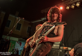 Animal Drive - Photo by Marc