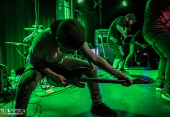 Antaraxid - Photo by Marc