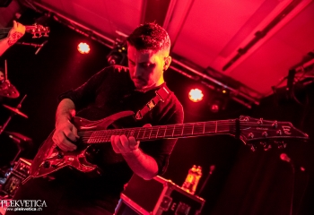 Antaraxid - Photo by Marc