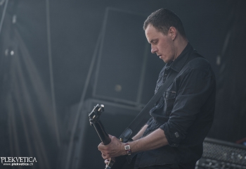 Bloodred Hourglass - Photo By Dänu