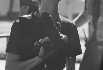 Bloodred Hourglass - Photo By Dänu