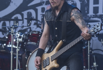 Bloodred Hourglass - Photo By Dänu