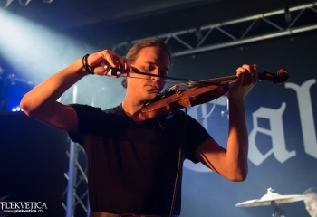 Calico - Photo by Nati