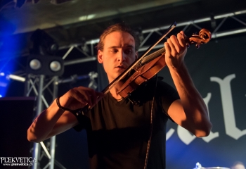 Calico - Photo by Nati