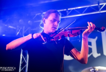 Calico - Photo by Nati