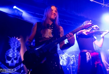 Calico - Photo by Nati