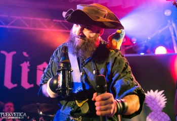 Calico - Photo by Nati