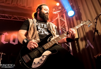 Calico - Photo by Nati