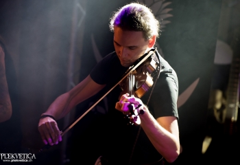 Calico - Photo by Nati