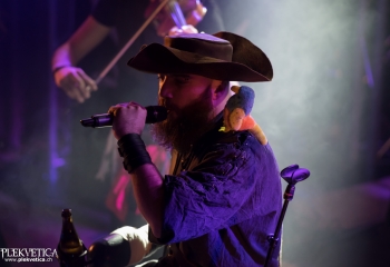 Calico - Photo by Nati