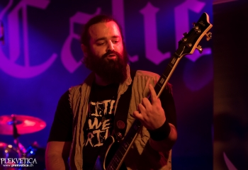 Calico - Photo by Nati