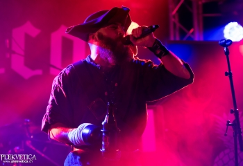 Calico - Photo by Nati