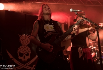 Calico - Photo by Nati