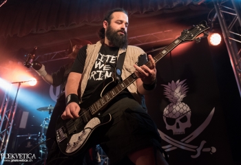 Calico - Photo by Nati