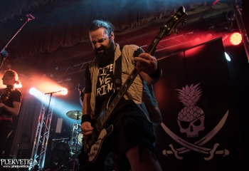 Calico - Photo by Nati