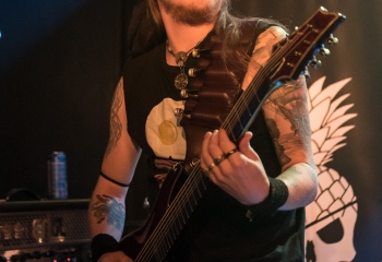 Calico - Photo by Marc