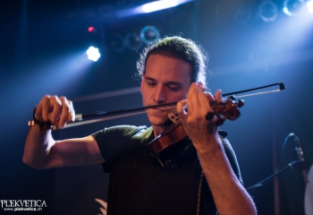 Calico - Photo by Marc