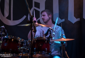 Calico - Photo by Marc